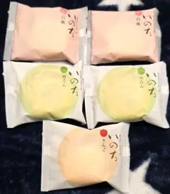 いのち　カスタードケーキ　白桃　めろん　りんご　ラグノオささき　生菓子のサムネイル
