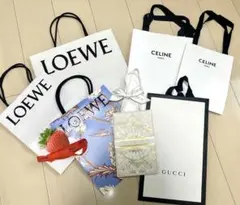 LOEWE CELINE GUCCI Dior ブランド紙袋 ショッパーセット
