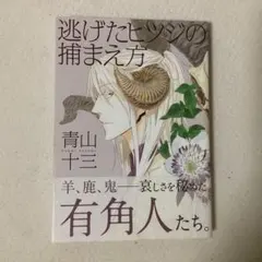 逃げたヒツジの捕まえ方 青山十三 カンナコミックス