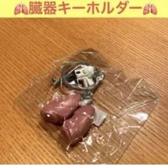 胆嚢付き肝臓 手作り 臓器 キーホルダー ハンドメイド - メルカリ