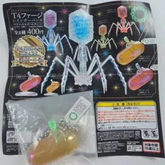 T4ファージと大腸菌 イエロー ボールチェーン♡