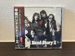 【新品】甲斐バンドストーリーII