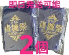 青城祭 2025 応援グッズ 2個セット