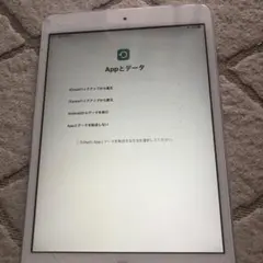 iPad mini2