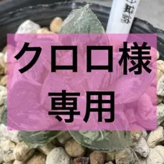 クロロ様 リクエスト 2点 まとめ商品