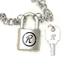 シドチェーン　シドヴィシャス　SEX PISTOLS PUNK ジョニーロットン