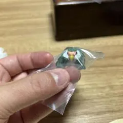 【未開封】くつろぎインコ　コザクラインコB