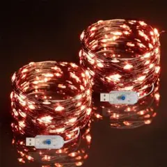 Gardenvy USB給電フェアリーライト 2パック オレンジ ライト