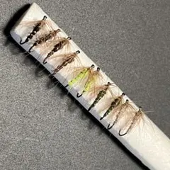 Item thumbnail for item 5f1389a7-2333-407f-9bb9-f204a6292458