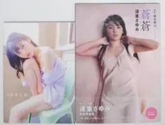 道重さゆみ写真集「DREAM」「蒼蒼」セット