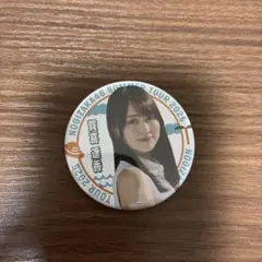 2026年最新】アイテム種別：クリアファイル 坂道シリーズ ピンズ