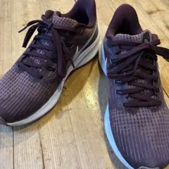 ナイキ　エア ズーム ペガサス 39 DH4072　ランニングシューズ　23㎝