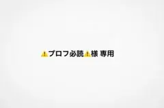 ⚠️プロフ必読⚠️ 様 専用ページ