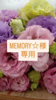 MEMORY☆様専用　トルコギキョウ　リシアンサス　切り花
