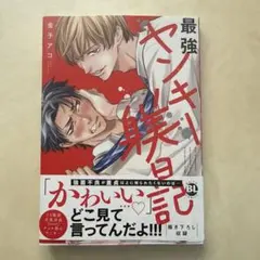 最強ヤンキー美日日記 金子アコ ボーイズラブコミック