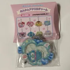 ハンギョドン　カスタムアクリルチャーム