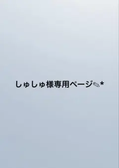 しゅしゅ様専用ページ✎*