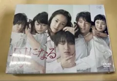 2025年最新】母になる dvd 道枝の人気アイテム - メルカリ