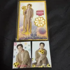 FANTASTICS SUNFLOWER 堀夏喜　アクエリ　フォトカ