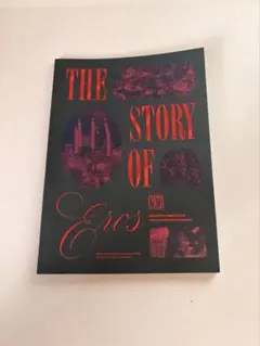 シーグリ　冊子　セブチ　seventeen