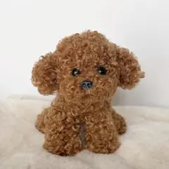 うちの子ぬい トイプードル レッドのサムネイル