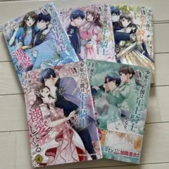 ぽむ様 リクエスト 2点 まとめ商品