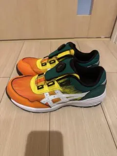asics WINJOB CP209 BOA UTSUROI 26.0限定カラー