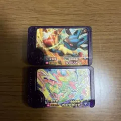 ポケモンフレンダ　ルカリオ　カミツオロチ　セット