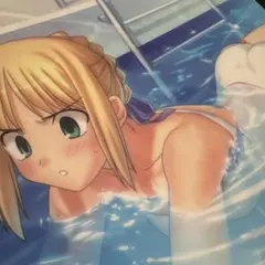 Fate 下敷き