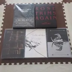 2026年最新】dir en grey dvdの人気アイテム - メルカリ