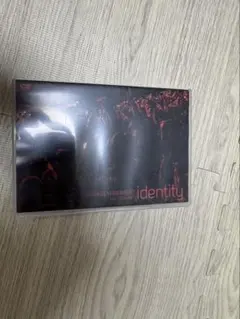 SAYAKA YAMAMOTO identity ライブ DVD
