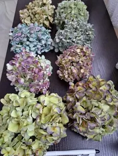 2026年最新】秋色紫陽花の人気アイテム - メルカリ