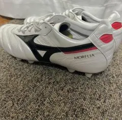 ミズノ モレリア26.5 モレリアネオIII JAPAN MIX 取替式(サッカー／フットボール)|P1GC2080