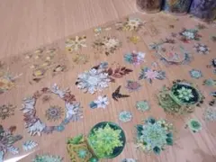 コラージュ素材　おすそ分け　マスキングテープ　海外マステ　切り売り『Q』