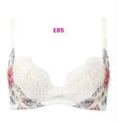 ワコールリボンブラE85