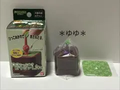 ∞ひっこぬきピクミン Lite 紫ピクミン