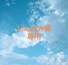 ハンドメイド♡hina009様専用