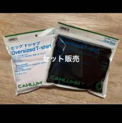 Item thumbnail for item a8c30ca5-9016-48ca-bc4f-c4312bcecd23