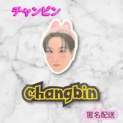 StrayKids スキズ EXHIBITION フレークシール チャンビン