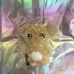 EVNNE EVNNIZ ぬいぐるみ キーリング クォジ パクジフ - メルカリ