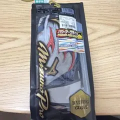 新品】ミズノプロ リミテッドモデル バッティンググローブ 24cm 両手 