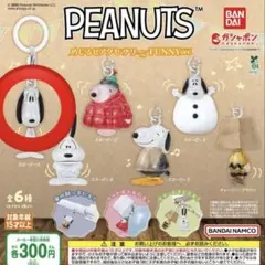 【匿名配送】PEANUTSめじるしアクセサリー FUNNY ver スヌーピーA