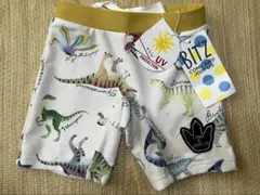 【新品未使用】男の子　80㎝　恐竜柄　水着　緑　プール　海　水遊び　スイムパンツ