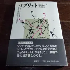 スプリット 存在をめぐるまなざし 歌手と武術家と精神科医の出会い