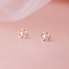 Item thumbnail for item 6e1b19f3-9190-47bb-bf07-2edff2655487