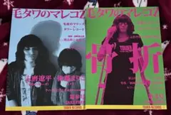 毛皮のマリーズ タワーレコード フリーペーパー 毛タワのマレコZ