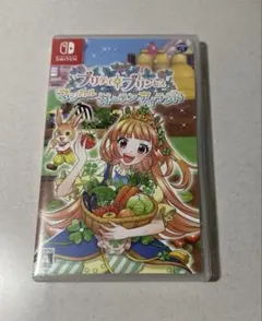 プリティ・プリンセス マジカルガーデンアイランド Switch