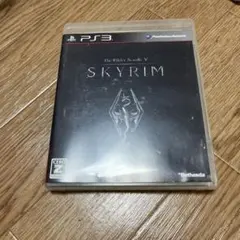 ザ・エルダー・スクロール5:スカイリム 動作確認済
