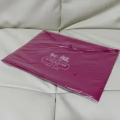 雑誌with付録 COACH コーチ ビニールケース フラットケース ピンク