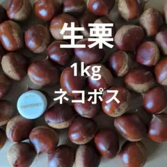 生栗 果物